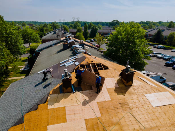 Best Roof Leak Repair  in Ladonia, AL